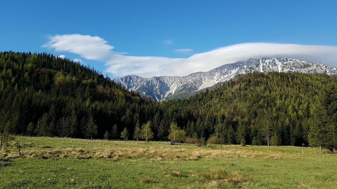 Ferienwohnungen Mamauwiese Gutenstein Bagian luar foto