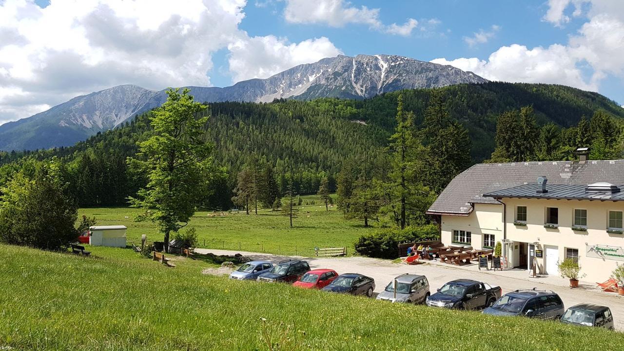 Ferienwohnungen Mamauwiese Gutenstein Bagian luar foto