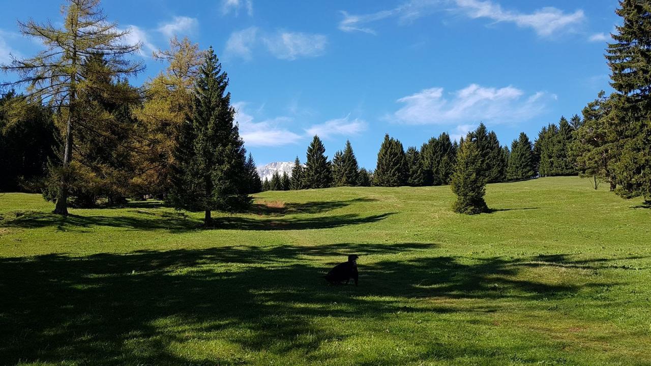 Ferienwohnungen Mamauwiese Gutenstein Bagian luar foto