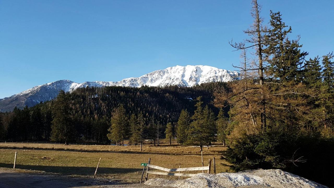 Ferienwohnungen Mamauwiese Gutenstein Bagian luar foto