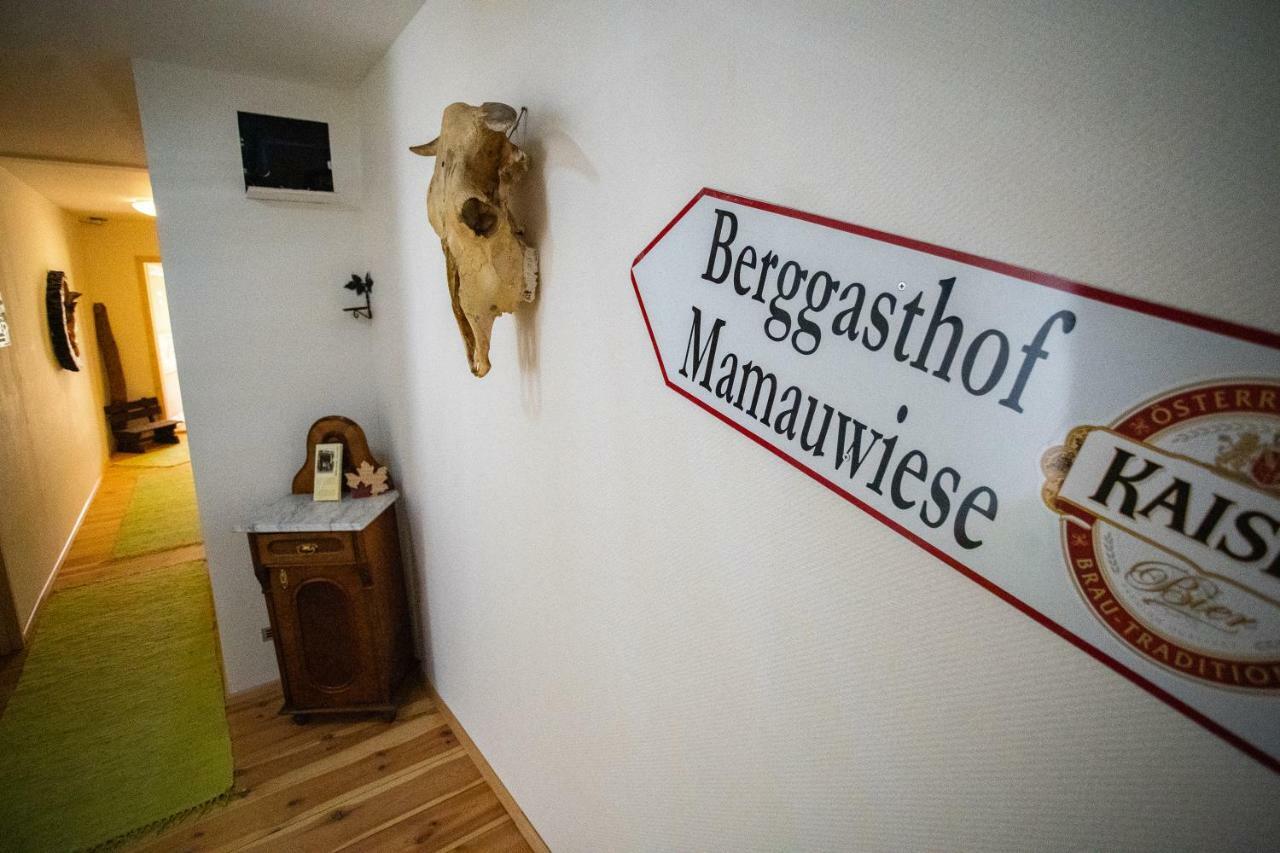 Ferienwohnungen Mamauwiese Gutenstein Bagian luar foto